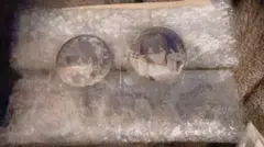 にじさんじ スイパラ Dytica 小柳ロウ 缶バッジ