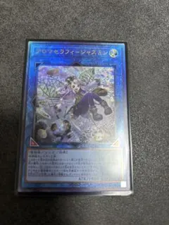 2026年最新】アロマセラフィ－ジャスミン QCCU-JP166 QCSEの人気