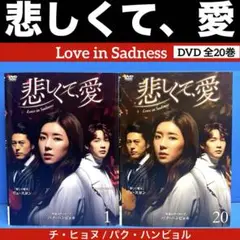 悲しくて、愛 DVD 全20巻 チ・ヒョヌ / パク・ハンビョル