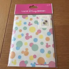 TOKYO DISNEY RESORT ギフト袋(S) 12枚入