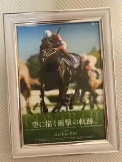 Contrail コントレイルJRA 競馬 写真 額縁セット　ポスター