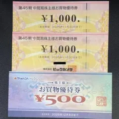 ビックカメラ ヤマダ 株主優待券 3枚セット