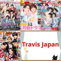 Travis Japan 4月号 TVガイド ザテレビジョン fan navi