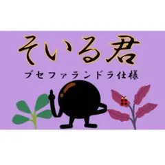 そいる君 〜ブセファランドラ仕様〜 ソイル1リットル 20%増量中❗️のサムネイル