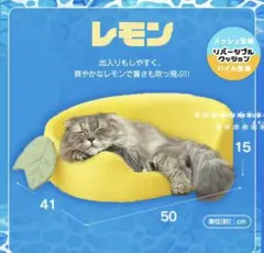 ★猫・犬ベッド★夏★ペットベッド★洗える★リバーシブル★クール★高齢猫★入り口低のサムネイル