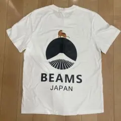 ホワイト Tシャツ XL