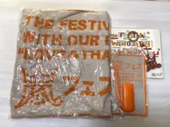 お値下げ❗️嵐アラフェス　フード付きタオル(未使用)  ペンライト　キーカバー1点