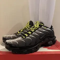 Nike Air Vapormax グレー/ブラック/ライム - メルカリ