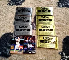 カルビー プロ野球チップス カード 未開封パック 7個セットとおまけ