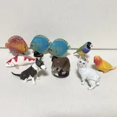 海洋堂 チョコエッグ 日本の動物コレクション ペット動物コレクション