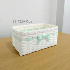 【No.55】バスケット　かご　小物入れ　クラフトバンド　ミント　22㎝