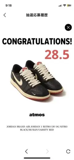 ナイジェルシルベスター エアジョーダン1 レトロ ローOGベター ウィズ タイム