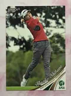 Item thumbnail for item 9333af40-1de3-419e-8189-a69f3b0c444e