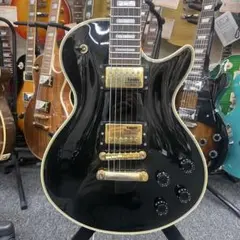 FERNANDES APG-100 PRSタイプ エボニー HC付 - メルカリ