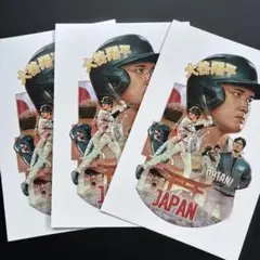 大谷翔平 ニューバランス ポストカード3枚
