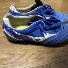 モナルシーダネオ