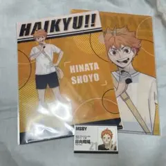 ハイキュー‼︎×マツキヨココカラ 日向翔陽 A 4クリアファイル 名刺カード