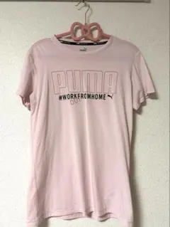 pumaジムウェア 半袖 Tシャツ