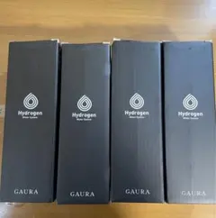 GAURA Hydrogen Water System 水筒 レッド　4点セット
