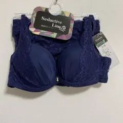 elegant B75 ブラジャー ショーツ ネイビー レース