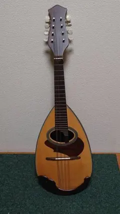 2025年最新】マンドリン SUZUKI KISOの人気アイテム - メルカリ