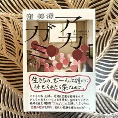 『アカガミ』窪美澄