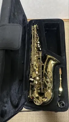 2026年最新】selva サックスの人気アイテム - メルカリ