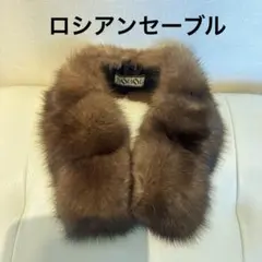 2026年最新】毛皮 ロシアンセーブルの人気アイテム - メルカリ