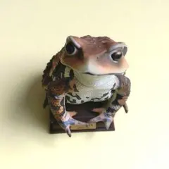 日本のカエル 特装版 ネイチャーテクニカラー 3種セット ガチャ - メルカリ