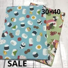 Item thumbnail for item 495103a7-9704-4ff2-9267-c40c9fa6c5fc