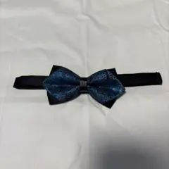 Item thumbnail for item 51224026-7aa8-4341-8e67-972789334dce