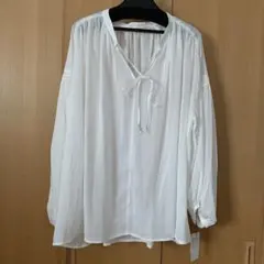 Gready Brilliant Auie F　長袖ブラウス　美品のサムネイル