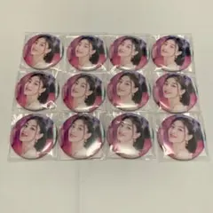 ジヒョ 缶バッジ DAY まとめ売り