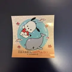 宮島水族館15周年×はぴだんぶい ポチャッコ ステッカー