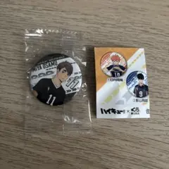 くら寿司　ビッくらポン　ハイキュー!!コラボグッズ　宮治　缶バッジ