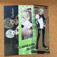 カネブラ EROSION CARNELIANBLOOD 受注 トキシン CARNELIAN BLOOD カネブラ EROSION トキシン セット - メルカリ