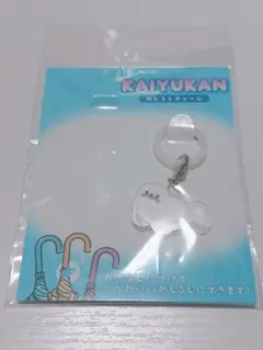 2026年最新】海遊館 アザラシの人気アイテム - メルカリ