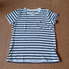POLO RALPH LAUREN ストライプTシャツ