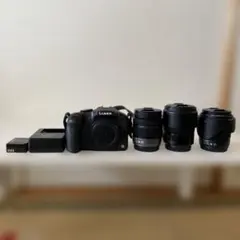 2026年最新】Lumix DMC-G6の人気アイテム - メルカリ