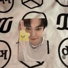 NCT127 MD ドヨン ヒトデとトレカ /おまけ/ イリチル Doyoung NCT127 イリチル 8周年 アクスタ ヒトデ 星 クッション トレカ