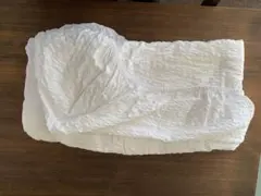 Item thumbnail for item f0675319-b758-4b5c-8d30-859bff760c9e