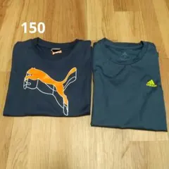 PUMA & adidas速乾 Tシャツ 150cm