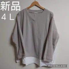 カットソー 長袖 レディースl