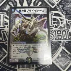 ブライゼナーガ