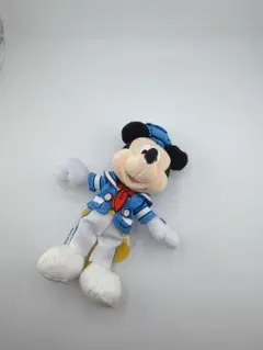 東京ディズニーランド 2024 ドナルドパルパルーザ ミッキー ぬいぐるみ