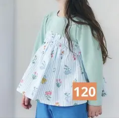 Item thumbnail for item 5512b12a-ce6b-40e2-9004-5e2c1e7b1abc