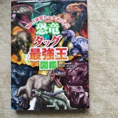 rs062216様 リクエスト 3点 まとめ商品