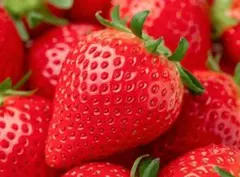 まみ様 リクエスト 2点 まとめ商品