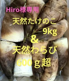 Hiro様専用 天然たけのこ 9kg&天然わらび 600g超 詰め合わせ
