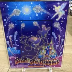 ディズニーランド　25周年　フォトスタンド